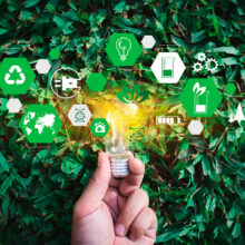 Le développement durable